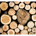 Fatos sobre o alargador de madeira que você precisa conhecer